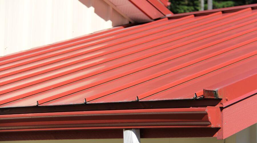 Professional gutter cleaning in Belview, MN